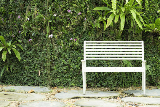 White bench in garden under trees foliage in summer day with leaves background.