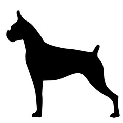 High quality silhouette of the bulldog isolated on white backgro