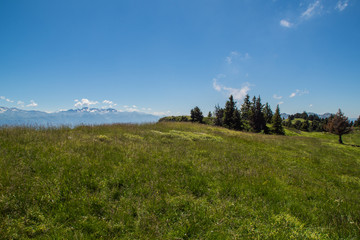 Massif de la Chartreuse - Is&egrave;re.