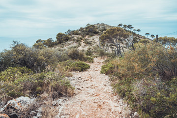 Obraz premium Mallorca landscape