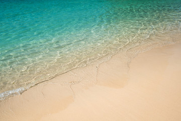 Wave of the sea on the beach