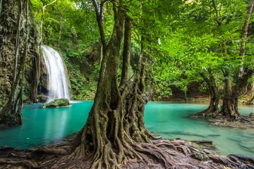 Foto op Plexiglas Erawan waterfall in Kanchanaburi, Thailand © happystock