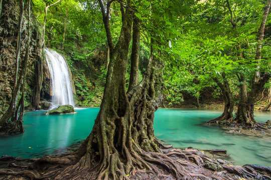 Fototapeta Erawan waterfall in Kanchanaburi, Thailand