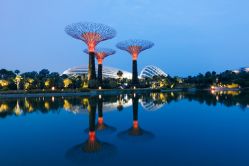 Vue nocturne du Supertree Grove dans le Graden by the Bay à Singapour.