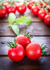 Fresh Organic Cherry Tomatoes