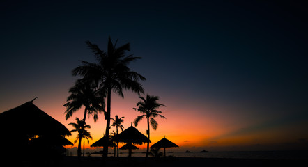 Silhouette Coconut Palm Tree / Tropical beach, / Outdoors Concept

