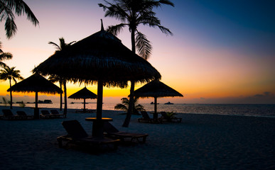 Silhouette Coconut Palm Tree / Tropical beach, / Outdoors Concept


