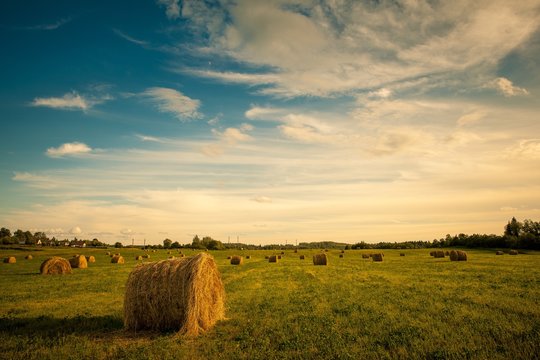 hay bales in countryside