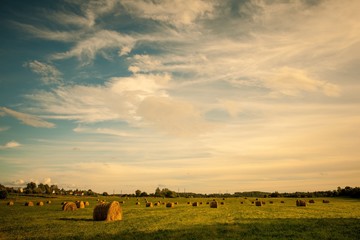 hay bales in countryside