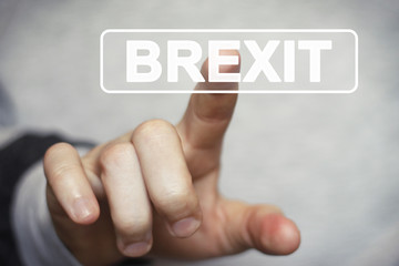 Business button Brexit web icon
