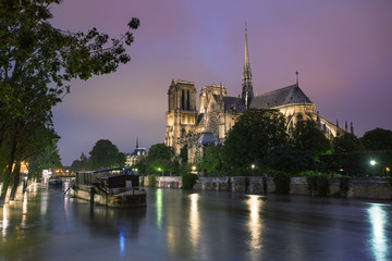 Fototapeta na wymiar Notre Dame de Paris. France. Ancient catholic cathedral on the quay of a river Seine. Famous touristic architecture landmark in summer. Night 