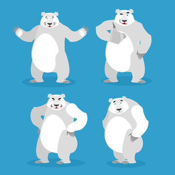 Polar Bear set of different poses. Expression of emotions. Wild