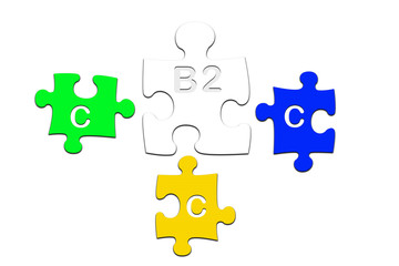 B2C puzzle pieces