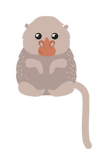 Cartoon monkey vector illustration. Monkey animal and jungle cartoon wild life. Monkey cute types cute primate isolated. Monkey zoo jumping chimpanzee mammal.