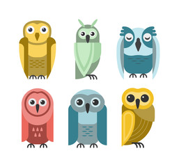 Cute vector collection of bright cartoon owls. Animal character cartoon owl comic funny collection. Doodle cheerful birds behavior cartoon owl