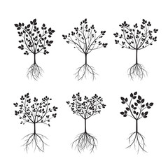 Set Black Trees and Roots. Vector Illustration.
