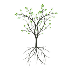 Tree and Roots. Vector Illustration.