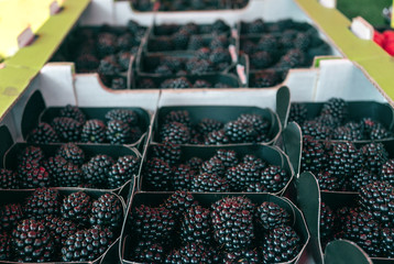 Berries on the market