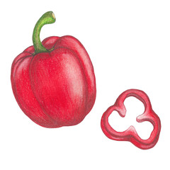 Hand drawn illustration of red bell pepper