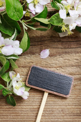 Blank blackboard label and flowering twigs of apple tree on wood