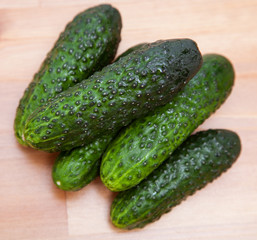 Fresh cucumbers