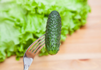 Fresh cucumber on the fork