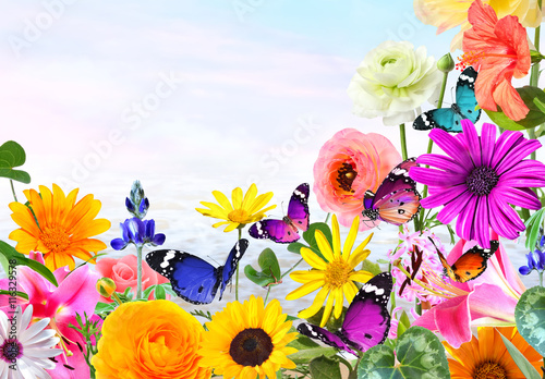 Download Colorful Beautiful Flowers And Butterflies With Magic Blur Background Nature Abstract With Copy Space Wall Mural Alexey Protasov