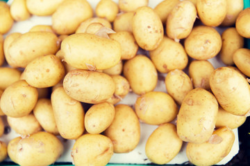 close up of potato at street market