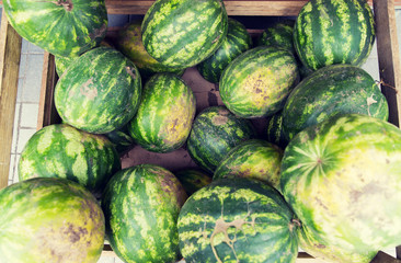 close up of watermelon at street farmers market