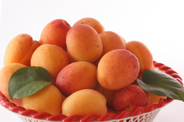 Fresh apricots in the bowl