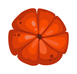 Autumn pumpkin vegetable design. Pumpkin oriental bittersweet vector illustration. Orange halloween pumpkin vegetable collection. Harvest symbol season decoration.