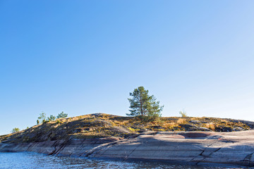 Beautiful summer landscape with forest, lake © kiska_murka