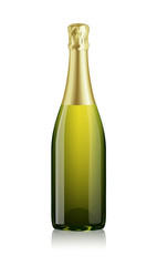 Mock-up Transparent Isolated Realistic Champagne Bottle Vector