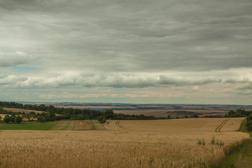Landschaft im Sommer