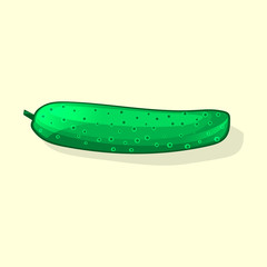 Ripe and delicious cucumber. Vector illustration