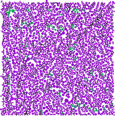 Purple green dot on white beautiful background