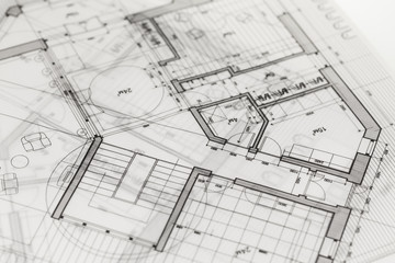 architecture blueprint -  house plan