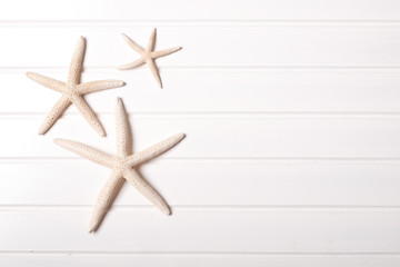Summer concept: Idea with starfish on white wooden with space for text.
