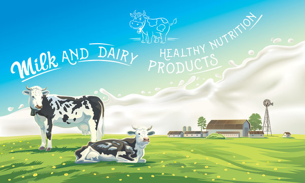 Two cows in the background of the summer landscape and splash from the milk, as well as graphic elements.