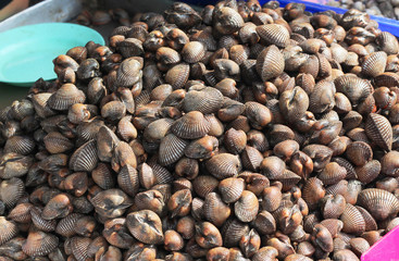 Plenty fresh cockle on the tray at the market for sell