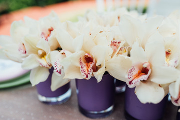 Beautiful spring flowers in purple glass vases