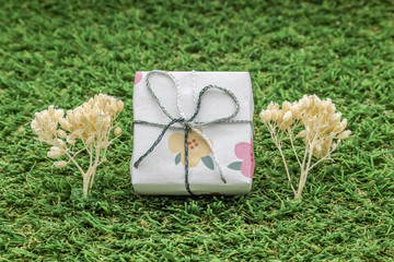 isolated white gift box with silver ribbon on green grass background decorated with dry plant tree