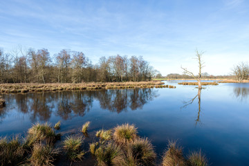 Winter Landscape At Lake De Witt