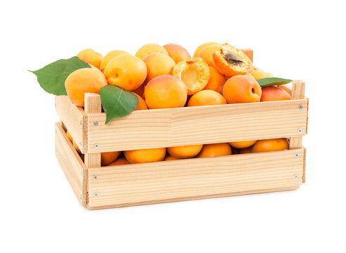 Fresh ripe apricots in wooden box