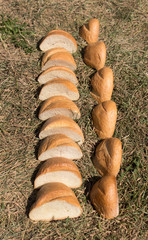 pieces of wheat bread loaves laid out on the dry grass along the parallel