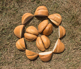pieces of wheat bread loaves laid out on the dry grass in the shape of a flower