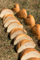 pieces wheat bread loaf spread out on dry grass