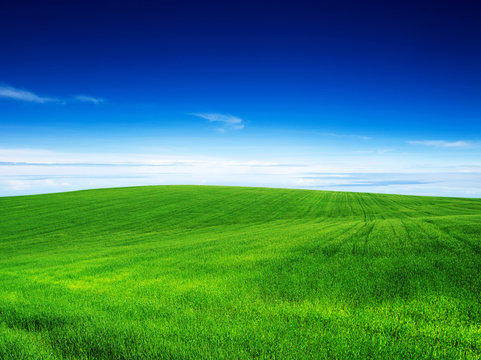 green field
