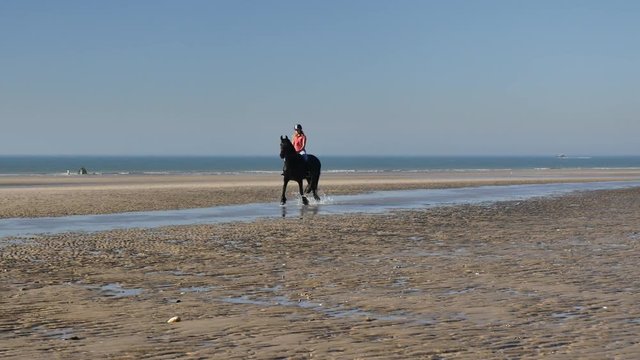 frison et sa cavali&egrave;re