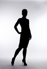 silhouette of a beautiful woman on a white background